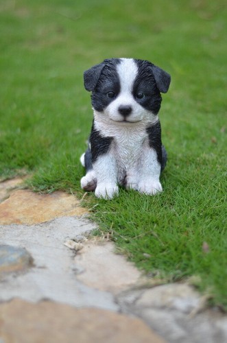 Pet pals puppy collection - pals,