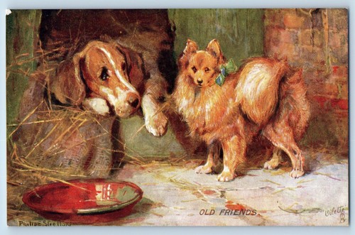 Cartolina artista firmata fox - cartolina,