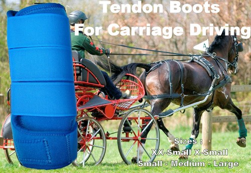 Stivali horse tendon blu - stivali,