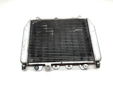 RADIATORE RADIATOR ACQUA