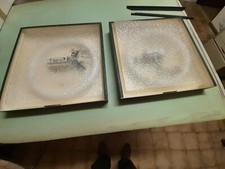 coppia di plafoniere al neon in metallo preverniciato