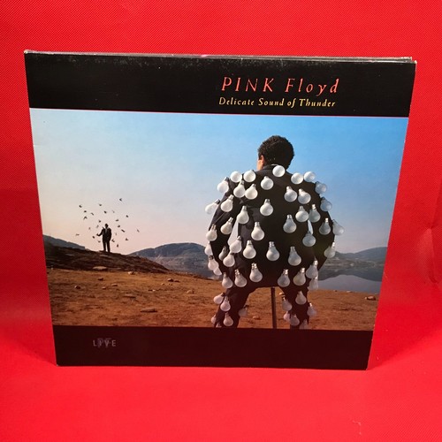 Pink floyd delicate sound - delicate,