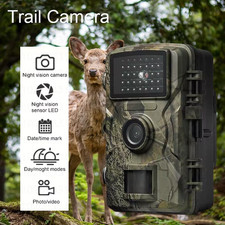 Fototrappola infrarossi - 🦌,