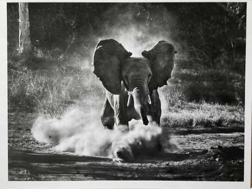 Sebastiao salgado warhol - sebastiao,