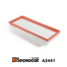A2441 Filtro aria Tecnocar
