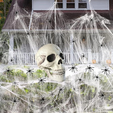 Statua Di Teschio in