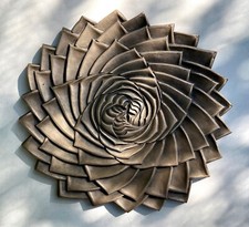 Aloe Polifilla, Pianta a