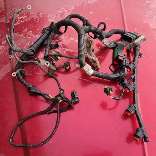 Telaio cablaggio motore fiat - motore,
