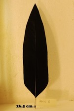 PENNA PER CAPPELLO ALPINO NERA