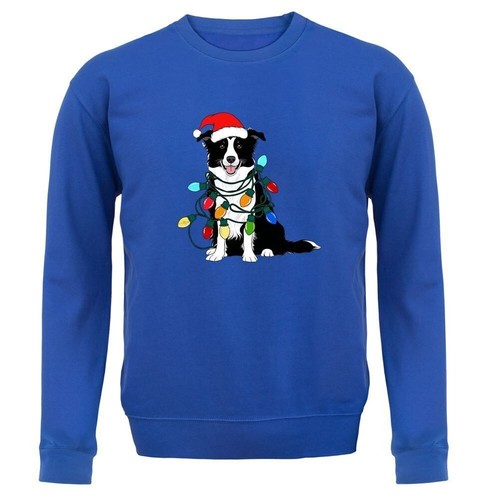 Border collie natale bambini - -,