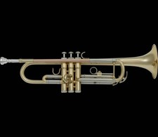 SML PARIS TP300 - Tromba Sib