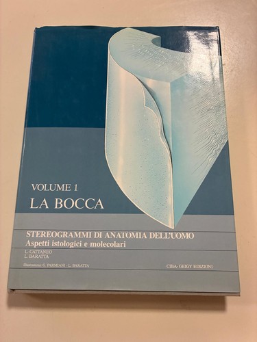 Stereogrammi anatomia - di,