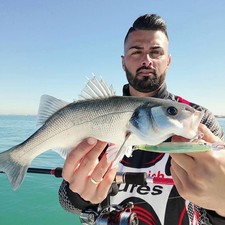 Artificiale esca Hard Baits