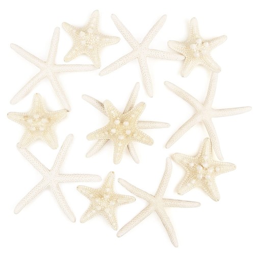 Pezzi decorazione stella - 12,