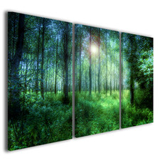 Stampe su tela trittico