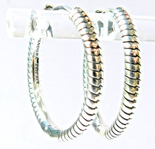 Autentici orecchini Pandora