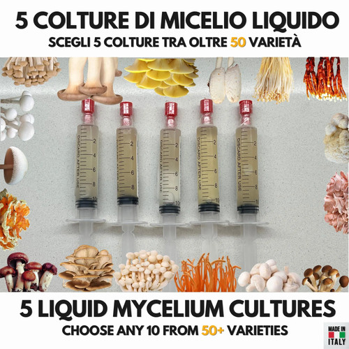 Bundle colture liquide - colture,