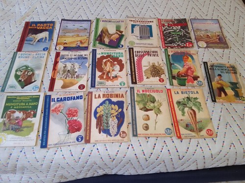 Ventennio biblioteca per - :,