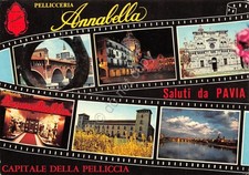 Cartolina Pavia vedute varie