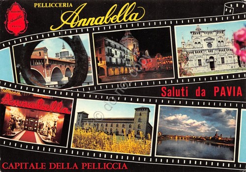 Cartolina pavia vedute varie - pavia,