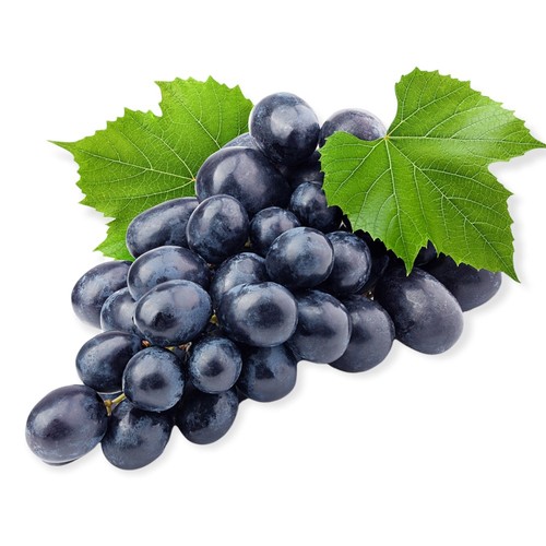 Pianta vite uva vigna - di, da