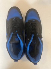 Size 10 - Nike Alleyoop SB