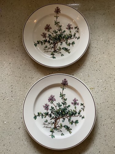 Set identical villeroy - 2,