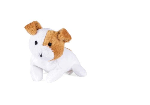 Oscar newman jack russell - newman,