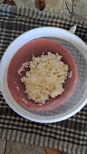 Fermenti lattici vivi - fermenti,
