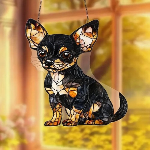 Cucciolo nero chihuahua