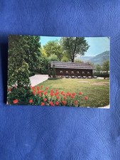 CARTOLINA PEDAVENA - BIRRERIA