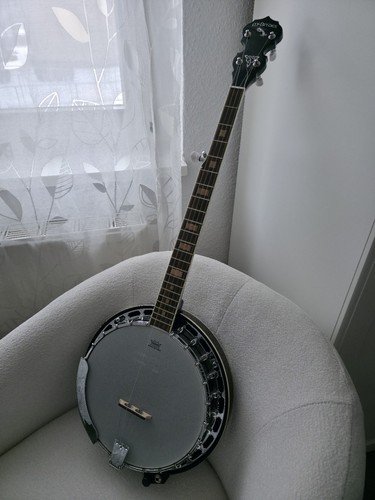 Mcbrides banjo pickup - mcbrides,