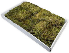 – Tappeto Di Muschio