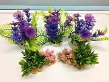 Lotto piante in plastica