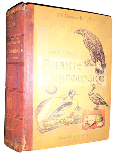 Arrigoni degli oddi - degli, atlante