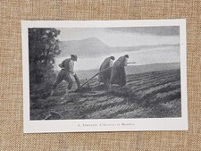 L’aratura a Miazzina Quadro