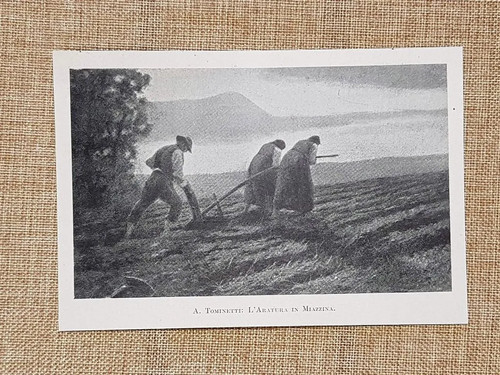 Aratura miazzina quadro - l’aratura, a
