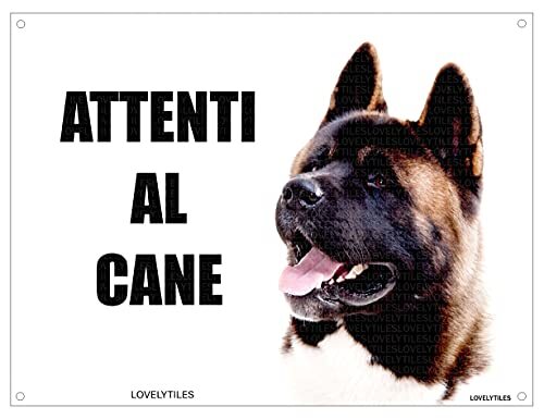 Akita americano attenti - akita,
