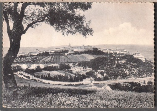 Pu263 cartona cingoli - pu263/4,