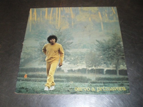 Disco vinile giri riccardo - 33,