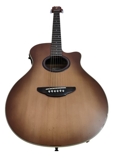 Chitarra acustica amplificata - acustica,