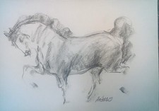Quadro "Cavallo" carta 30 x 42