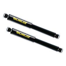 2 Ammortizzatori Posteriori