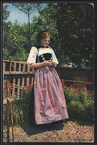 Cartolina giovane bernese nel