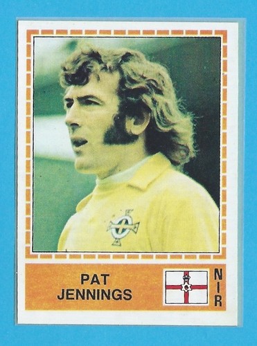 Figurina calciatori panini - figurina,