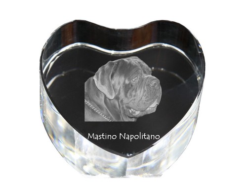 Mastino napoletano - mastino,