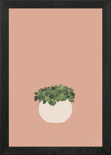 Illustrazione pianta nervosa