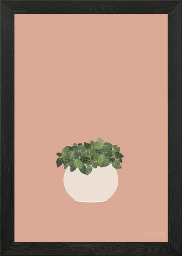 Illustrazione pianta nervosa