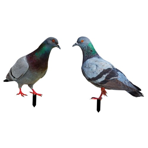 Pezzi statue piccioni - pezzi,