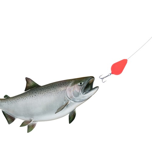 Galleggiante pesca 10pz - pesca,